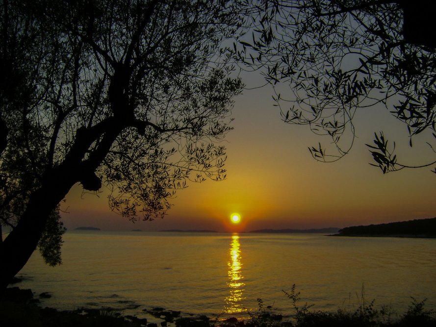 sveta marina